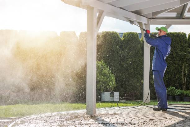 Best House Exterior Washing  in Springville, VA